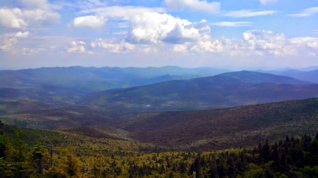 Vermont Maple Syrup for sale online