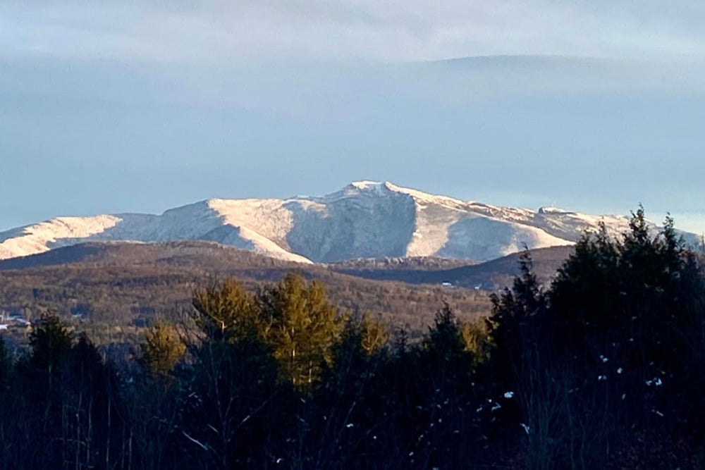 Vermont Maple Syrup online